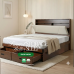 Sienna Modern Storage Double size Bed Frame Sienna Modern Storage Double size Bed Frame