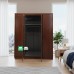 Amelia All Metal Walnut Color Wardrobe Cabinet  