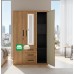 Ethan All Metal Wardrobe Cabinet with Led light Door