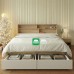 Ava Smart Double size bed frame with Storage