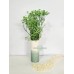 HA Hopeful Green Flower vase arrangement