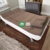Andover Double size Sofa bed in Brown and Beige